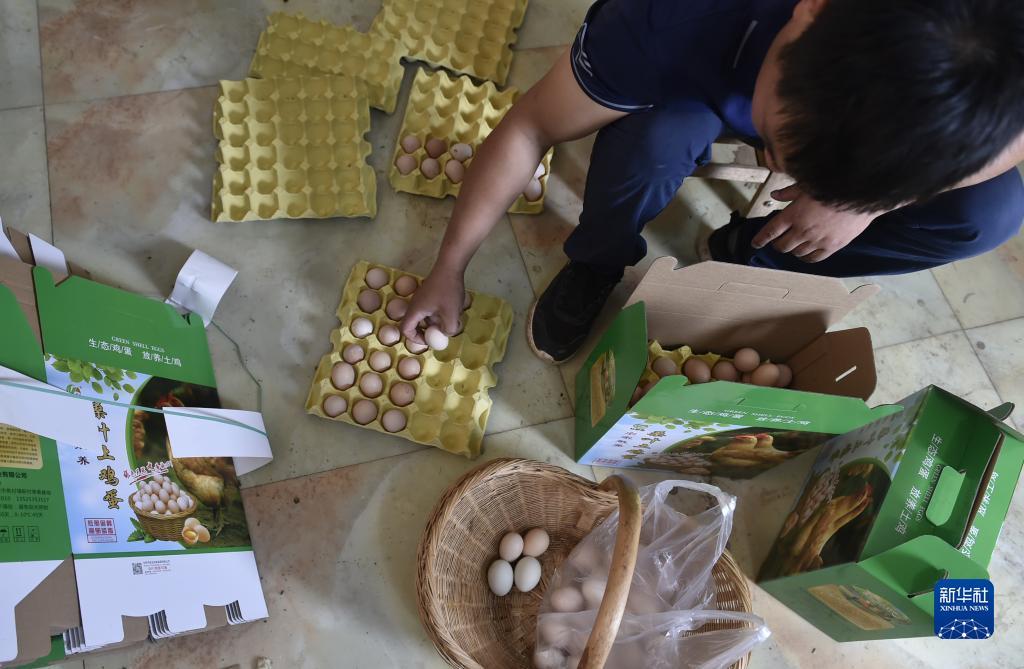 手机信息验证送38彩金